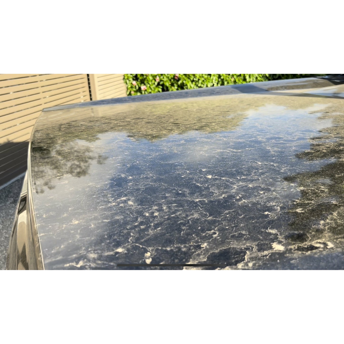 Foam Wizard Car Wash Kit (Garden Hose)